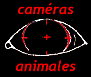 Caméras Animales