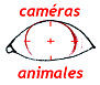 Caméras Animales